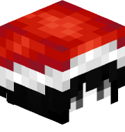 dvvk