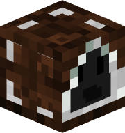THExSUNBURSTxF0X