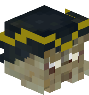 Shadyjar