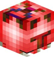 kvnz0