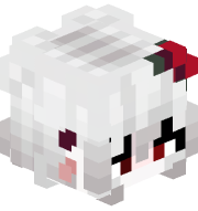 kacper4445551
