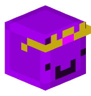 d4ze0802