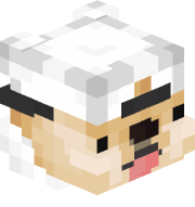 DogeMax22