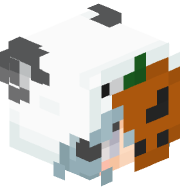 TussiClub