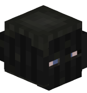 rag21n