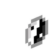 Nagishaw