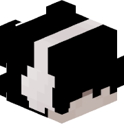 _Nocc