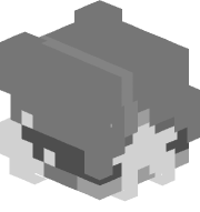 spvcta