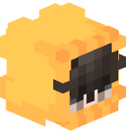 quixte