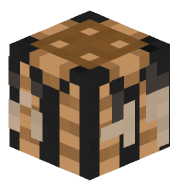Mr_MindCrafter