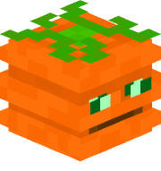 Carrot6513