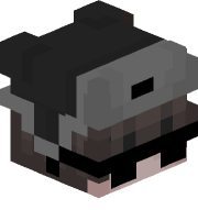 vysshoo