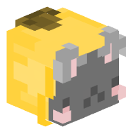 Cat_cute_