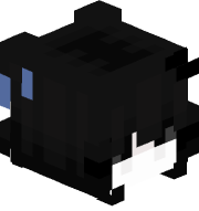 Jexar