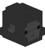 _ardilla_