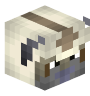 CJ_co