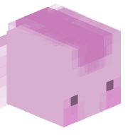 oh_its_possum