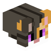 bobc4t