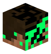 ninvs