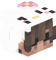 ZxverOwner