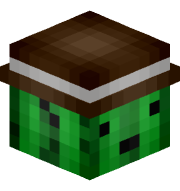 Cactus12345678