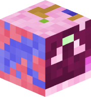 ColderNine8381