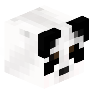 disisan