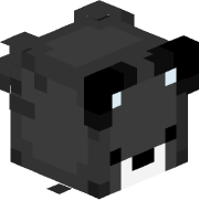 Wqlfyz