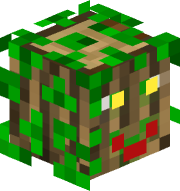 canoido