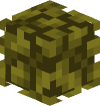Голова Minecraft — Acacia Leaves