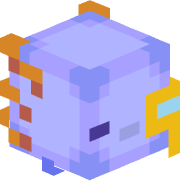 Rxfqu