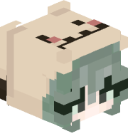 chinokizz