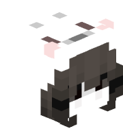 Quazacx