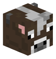Codynutbrain