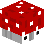 packrunnrr