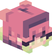 Tuzzohra