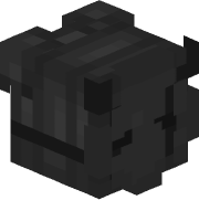 EinJxnas