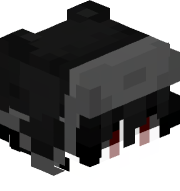Rudraksh09