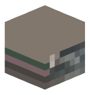 Turtle_beard