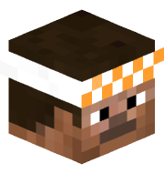 Duck_403