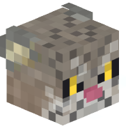 Domca13