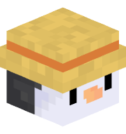 wSaint
