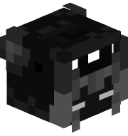 00_Medved