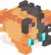 CaliyTheCalico