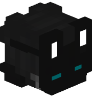 kvank0