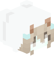 sirazu11