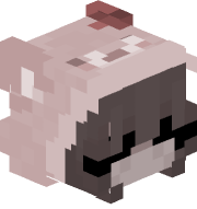po_m