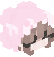 RatorCat