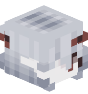 KynskiIsHere