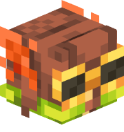 rausteray